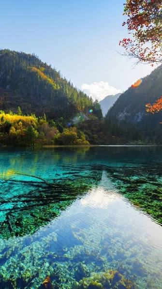 images (19)