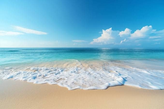 images (25)